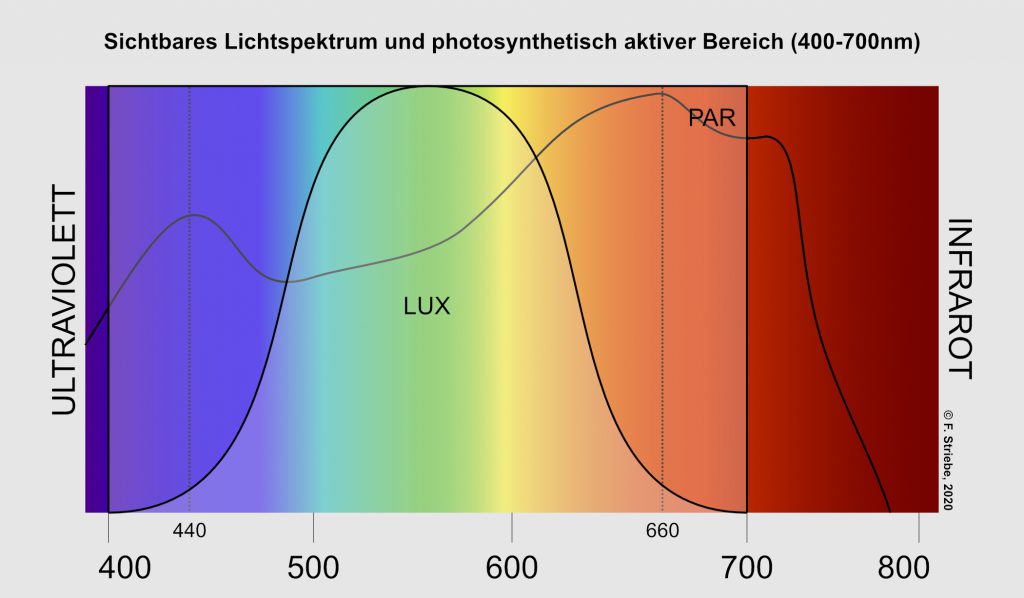Grundlagen zur Belichtung von Pflanzen 1 CARNIFLOR