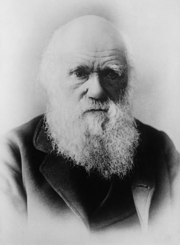 darwin