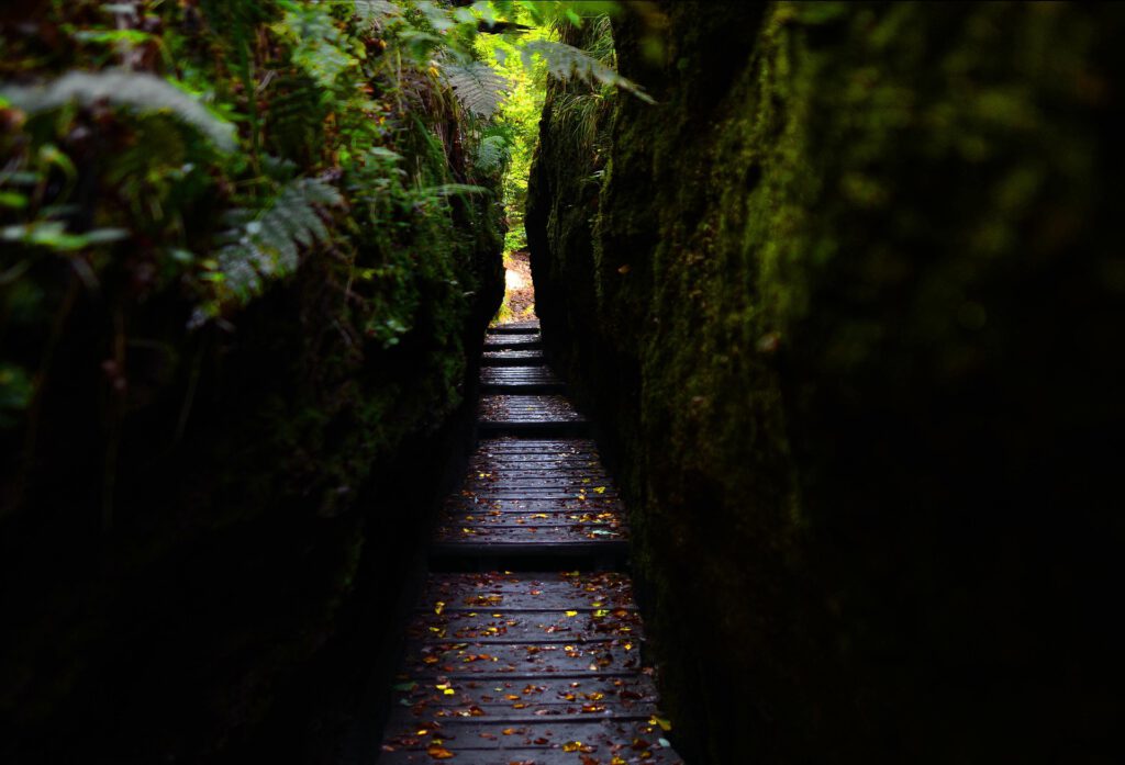 Drachenschlucht, Eisenach