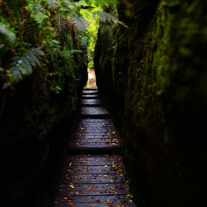 Drachenschlucht, Eisenach