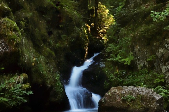 Bachlauf